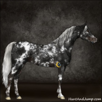 Horse Color:White Spotted Liver Chestnut Ice Mushroom 