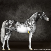 Horse Color:White Spotted Liver Chestnut Ice Mushroom