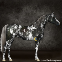 Horse Color:White Spotted Liver Chestnut Ice Mushroom 