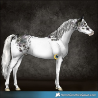 Horse Color:White Spotted Midnight Liver Chestnut Ice Mushroom Sabino Rabicano 