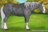 Horse Color:Silver Black Chinchilla Splash 