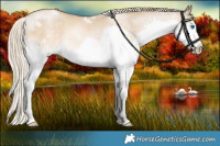 Horse Color:White Spotted Chocolate Palomino Pearl Dun Splash 