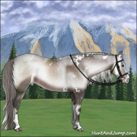 Horse Color:Platinum White Spotted Liver Red Onyx Sabino 