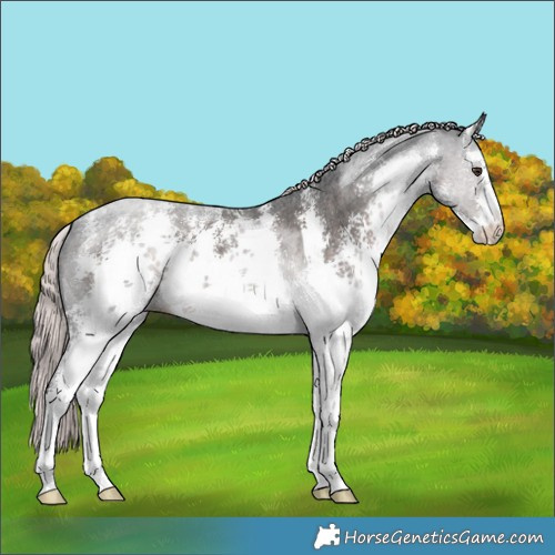 Horse Color:Platinum White Spotted Liver Chestnut Sabino 