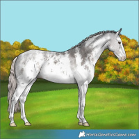 Horse Color:Platinum White Spotted Liver Chestnut Sabino