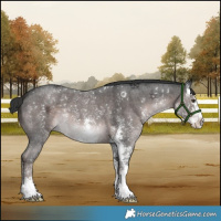 Horse Color:Platinum Liver Chestnut Sabino 
