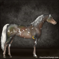 Horse Color:White Spotted Liver Chestnut Mushroom 