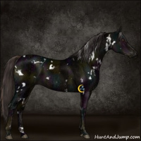 Horse Color:White Spotted Midnight Liver Chestnut Ice 