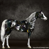 Horse Color:White Spotted Midnight Liver Chestnut Ice Mushroom Splash 
