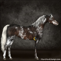 Horse Color:White Spotted Liver Chestnut Ice Mushroom 