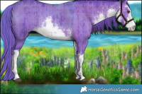 Horse Color:Watercolor Plaid  White Spotted Liver Red Dun Rabicano Brindle 