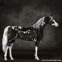 Horse Color:White Spotted Midnight Liver Chestnut Ice Mushroom Splash 