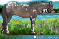 Horse Color:Platinum Liver Chestnut Tobiano 