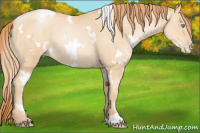 Horse Color:White Spotted Amber Champagne Pearl 