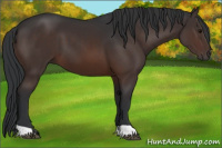 Horse Color:Brown 
