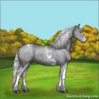Horse Color:Silver Grullo Chinchilla Tobiano 