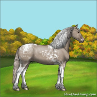 Horse Color:Silver Grullo Tobiano 