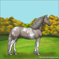 Horse Color:Silver Grullo Tobiano 