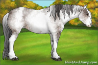 Horse Color:White Spotted Bay Ice