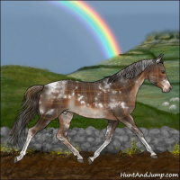 Horse Color:Plaid White Spotted Liver Chestnut Tobiano