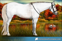Horse Color:Gray Chocolate Palomino Roan Tobiano 
