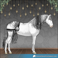 Horse Color:White Spotted Black Sabino 
