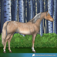 Horse Color:Chocolate Palomino Roan Tobiano 