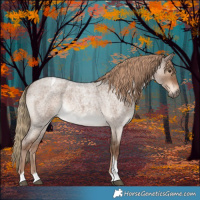 Horse Color:Liver Red Dun Roan Tobiano Rabicano 