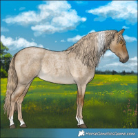 Horse Color:Chocolate Palomino Roan Dun Tobiano Rabicano