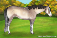 Horse Color:Bay Roan Onyx Sabino Splash 