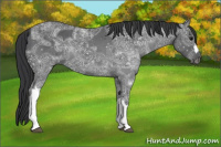 Horse Color:Black Ice 