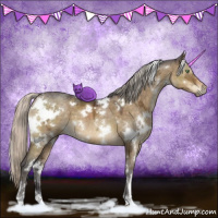Horse Color:White Spotted Silver Buckskin Ice Dun 