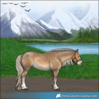 Horse Color:Chocolate Palomino Mushroom Sabino Rabicano 