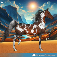Horse Color:White Spotted Brown 