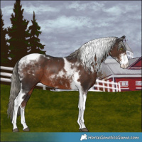 Horse Color:Liver Chestnut Mushroom Sabino Tobiano
