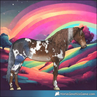 Horse Color:White Spotted Liver Chestnut 