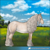 Horse Color:Chocolate Palomino Roan Pearl Rabicano