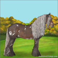 Horse Color:White Spotted Silver Black 