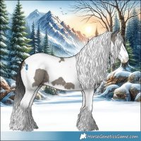 Horse Color:Grullo Splash Tobiano 