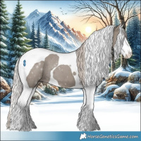 Horse Color:Silver Grullo Splash Tobiano 