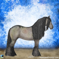 Horse Color:Grullo Rabicano 
