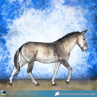 Horse Color:Brown Onyx Sabino Rabicano Brindle 