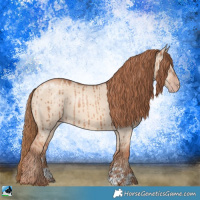 Horse Color:Gold Champagne Dun Sabino Brindle