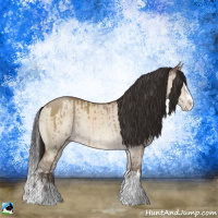 Horse Color:Sable Champagne Dun Sabino Splash Rabicano Brindle 