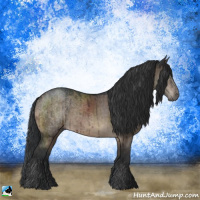 Horse Color:Brown Dun Sabino Rabicano Brindle