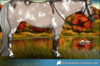 Horse Color:White Spotted Liver Red Dun Mushroom