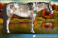 Horse Color:White Spotted Liver Red Dun Rabicano Brindle 