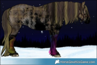 Horse Color:Void Plaid  White Spotted Liver Red Dun Sabino Rabicano Brindle 