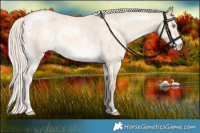 Horse Color:White Spotted Cremello Roan Dun 