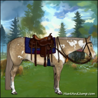 Horse Color:White Spotted Chocolate Palomino Dun Sabino 